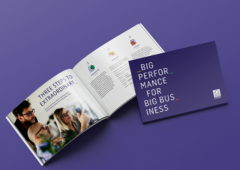Brochure: Introducing ECCoE – BIG Performance for BIG Business